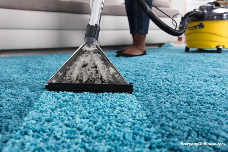 Carpet cleaning service